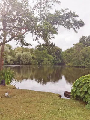 Event JB Piano Pianist Liverpool, Merseyside