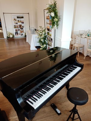 Event Lee Mathews Pianist London