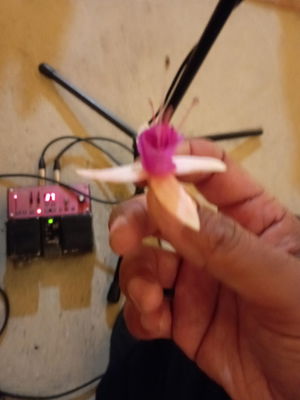 Event Danny C Singer Guitarist West Yorkshire