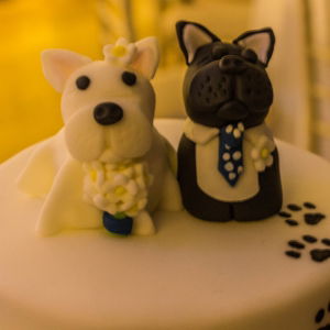 The Rips Function Band Review Wedding Gloucestershire