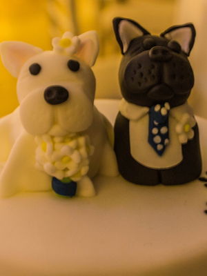 Event The Rips Function Band Northamptonshire