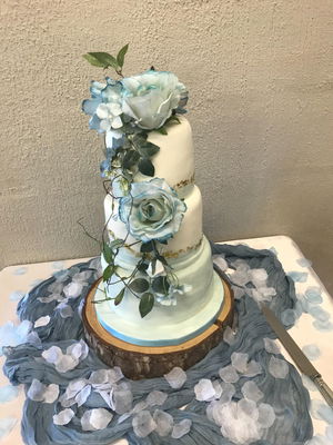 Event Steve Scott Wedding DJ Staffordshire