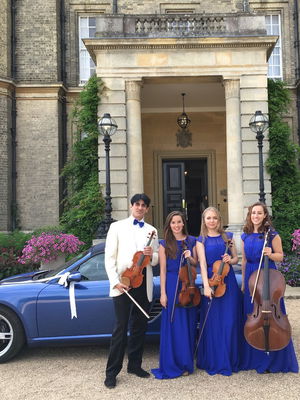 Event Garden String Quartet String Quartet London