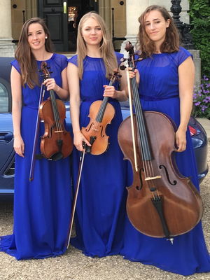 Event Garden String Quartet String Quartet London