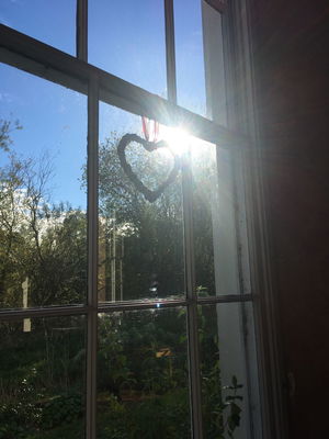 Event Steven J Singer Guitarist West Midlands