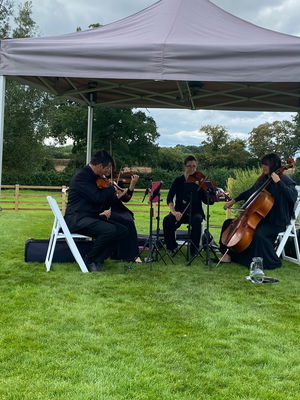Event Worcester String Quartet String Quartet Worcestershire