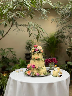 Event Dan Trilby Singer Guitarist Bromsgrove. Worcestershire