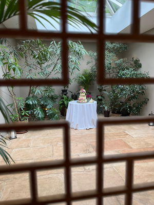 Event Dan Trilby Singer Guitarist Bromsgrove. Worcestershire