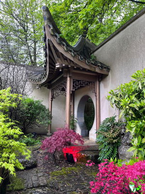 Event Dan Trilby Singer Guitarist Bromsgrove. Worcestershire