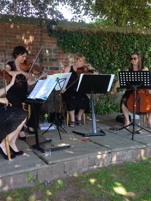 Event Prosecco Quartet String Quartet Malvern, Worcestershire
