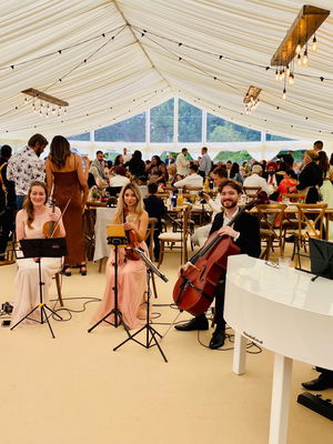 Event Dorel Oprea Pianist Hampshire