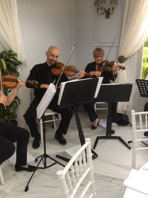 Event Prosecco Quartet String Quartet Malvern, Worcestershire