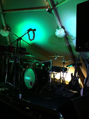 Event Tritts And The Numbers Function Band Essex