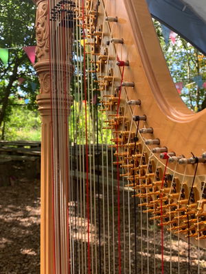 Event Rebecca The Harpist Harpist Greater Manchester