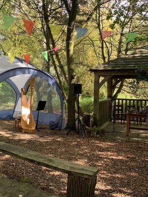 Event Rebecca The Harpist Harpist Greater Manchester