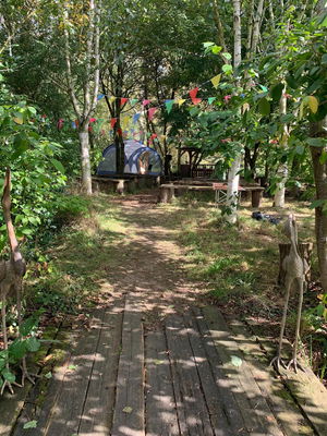 Event Rebecca The Harpist Harpist Greater Manchester