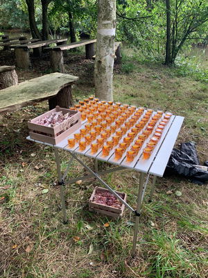 Event Rebecca The Harpist Harpist Greater Manchester