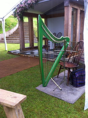 Event J H Harp (Harpist) Concert Harpist Bath, Somerset
