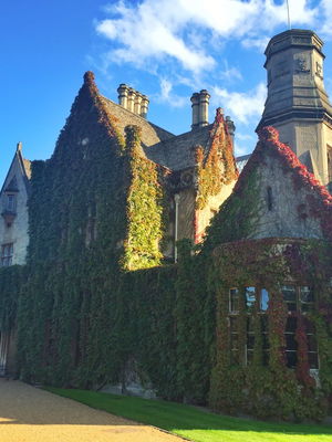 Event Blame It On The Boogie Function Band Guildford, Surrey