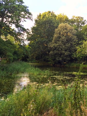 Event Blame It On The Boogie Function Band Guildford, Surrey