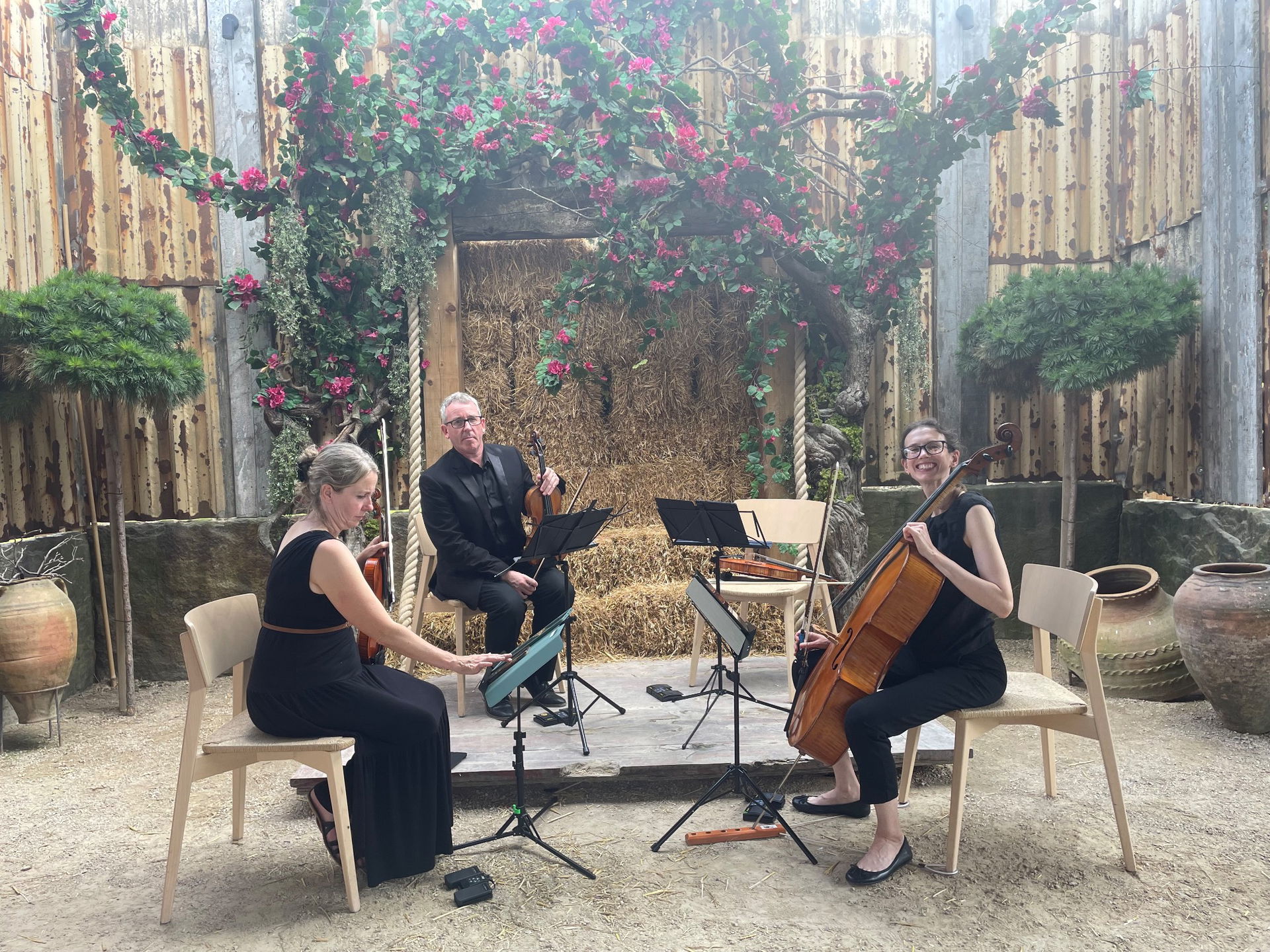 Solar Strings String Quartet Review Wedding Durham