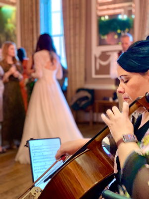 Wedding in Dorset on 11 December 2021