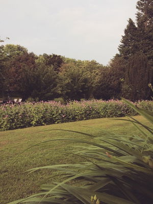 Event Hannah King Pianist Halifax, West Yorkshire