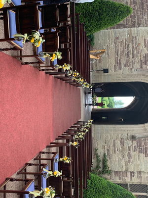 Event The Singing Harpist Harpist Derbyshire