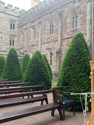 Event The Singing Harpist Harpist Derbyshire