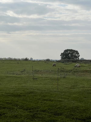 Event The Dukes Function Band Middlesex, Greater London