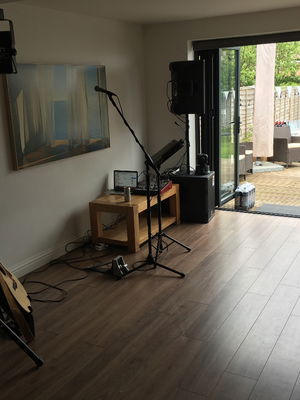 Event Jamie Vox Singer Guitarist Essex