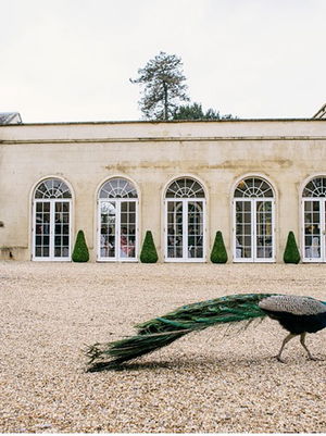 Event The T-Tones Acapella group Suffolk