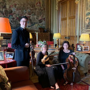 Crystal Strings String Quartet Wedding Herefordshire