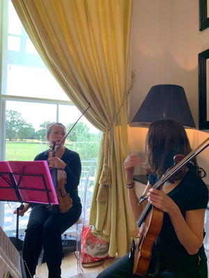 Event Egeria Strings String Quartet Surrey
