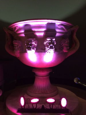 Event The Colts Function Band London