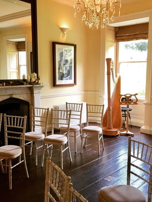 Event Berenice (Harpist) Harpist North Yorkshire