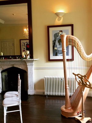 Event Berenice (Harpist) Harpist North Yorkshire
