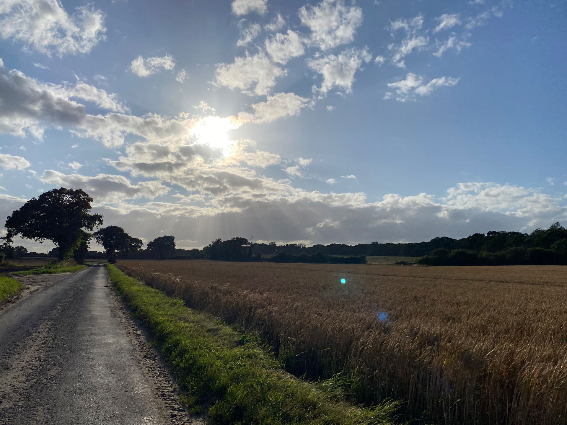 Daniel Cassini Singer Guitarist Review Wedding Suffolk