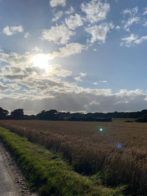 Event Daniel Cassini Singer Guitarist Ashford, Kent