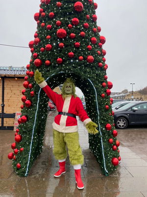 Event The Grinch Lookalike Grinch Lookalike Lancashire