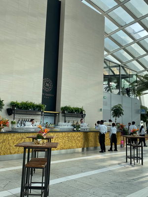 Event Soloise (Electric and Classical Violinist) Solo Classical and Electric Violinist London