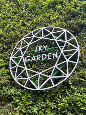 Event Soloise (Electric and Classical Violinist) Solo Classical and Electric Violinist London