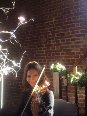 Event Egeria Strings String Quartet Surrey