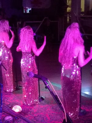 Event The Dreams Female Vocal Trio Singing Motown to Pop Walsall, West Midlands