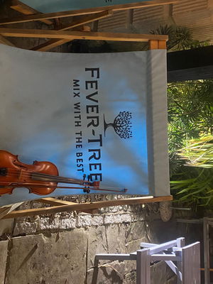 Event Soloise (Electric and Classical Violinist) Solo Classical and Electric Violinist London