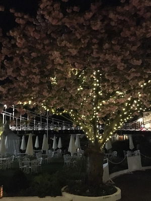 Event The Kicks Function Band Surrey