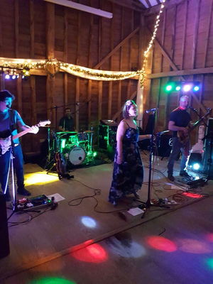 Event The Kicks Function Band Surrey