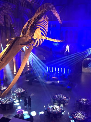 Event Seven Function Band London