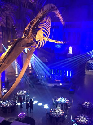 Event Seven Function Band London