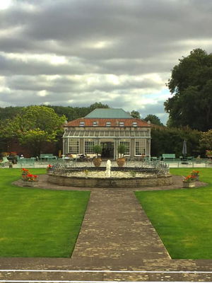 Event Danny C Singer Guitarist West Yorkshire